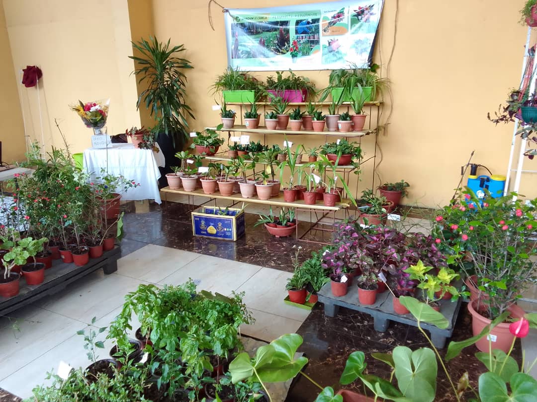 image Valoriser l'environnement et les fleurs